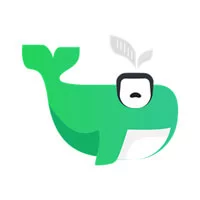 小绿鲸