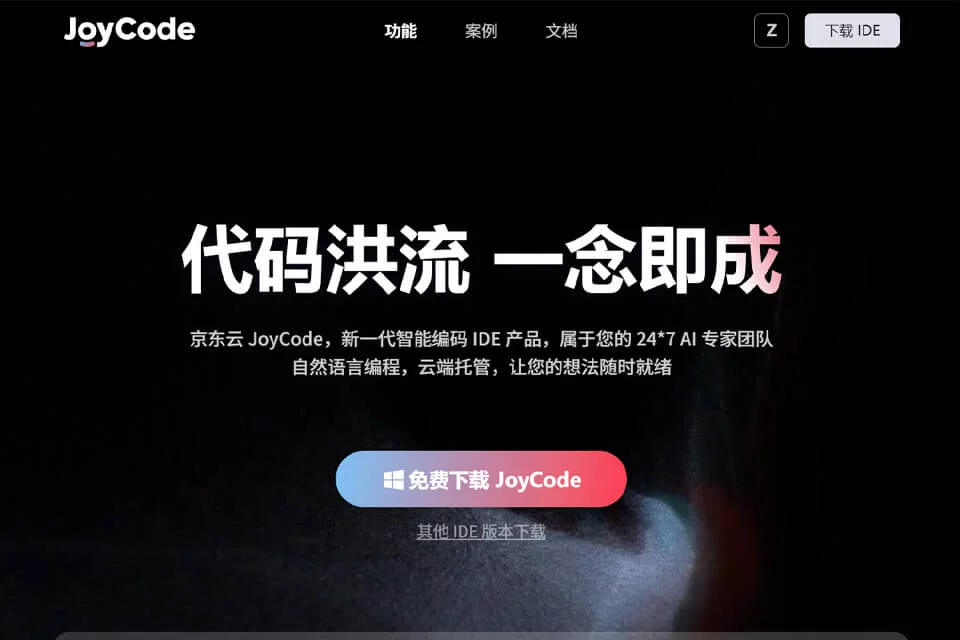 JoyCode