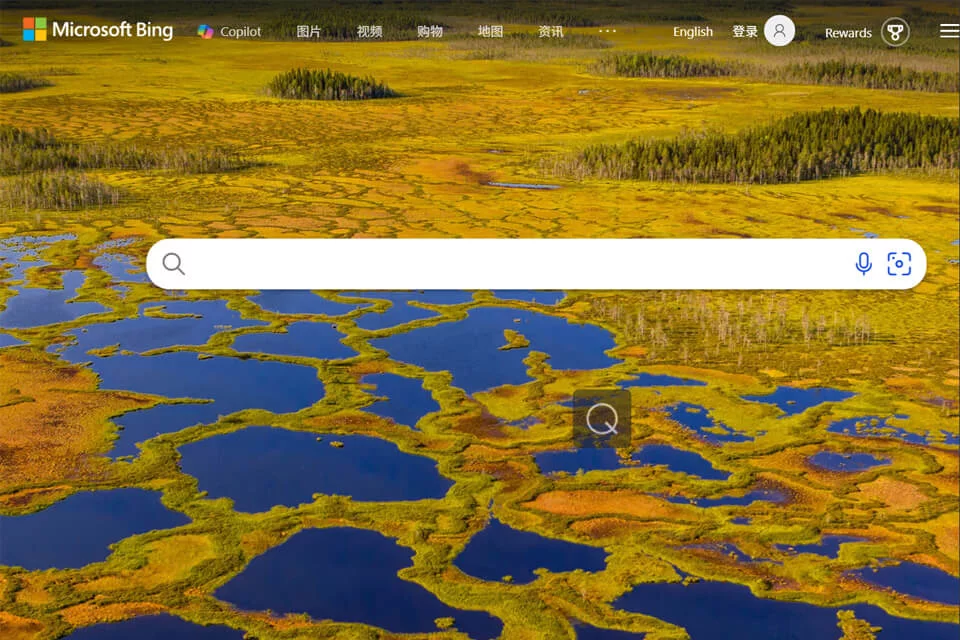 New Bing